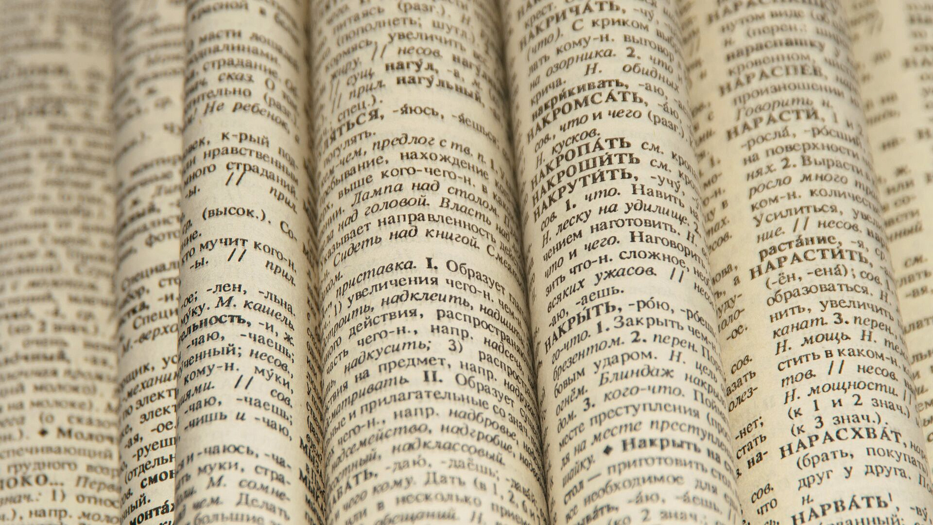 Слово "абьюзер" могут включить в словарь русского языка, заявила лингвист