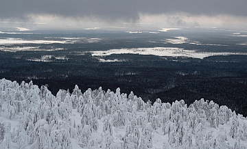 ��������� � �������� ���� ������ �������� �������� �� ������������ �������