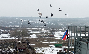 В Курской области бизнесу, пострадавшему из-за нападения ВСУ, окажут помощь