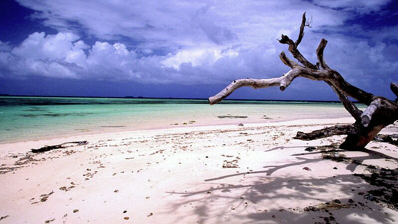 ���������� ������� ������ � ���� ����� ������ ������� ����� ���������