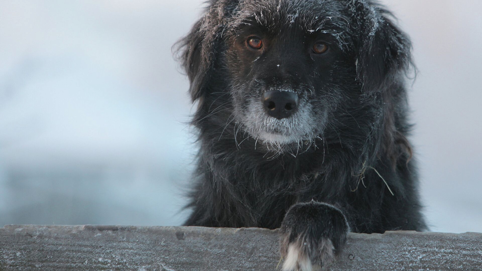 � ����� ������ 30 ����� � �������������