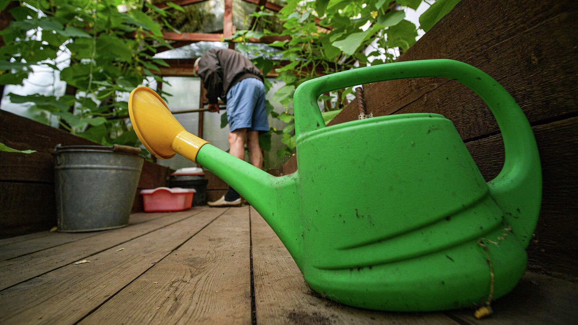 Эксперт рассказал, какой штраф можно получить за зеркальные заборы на даче