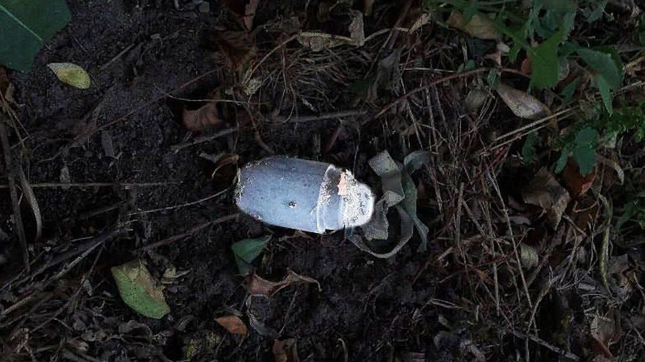 В Белгородской области ребенок пострадал при детонации мины "колокольчик"