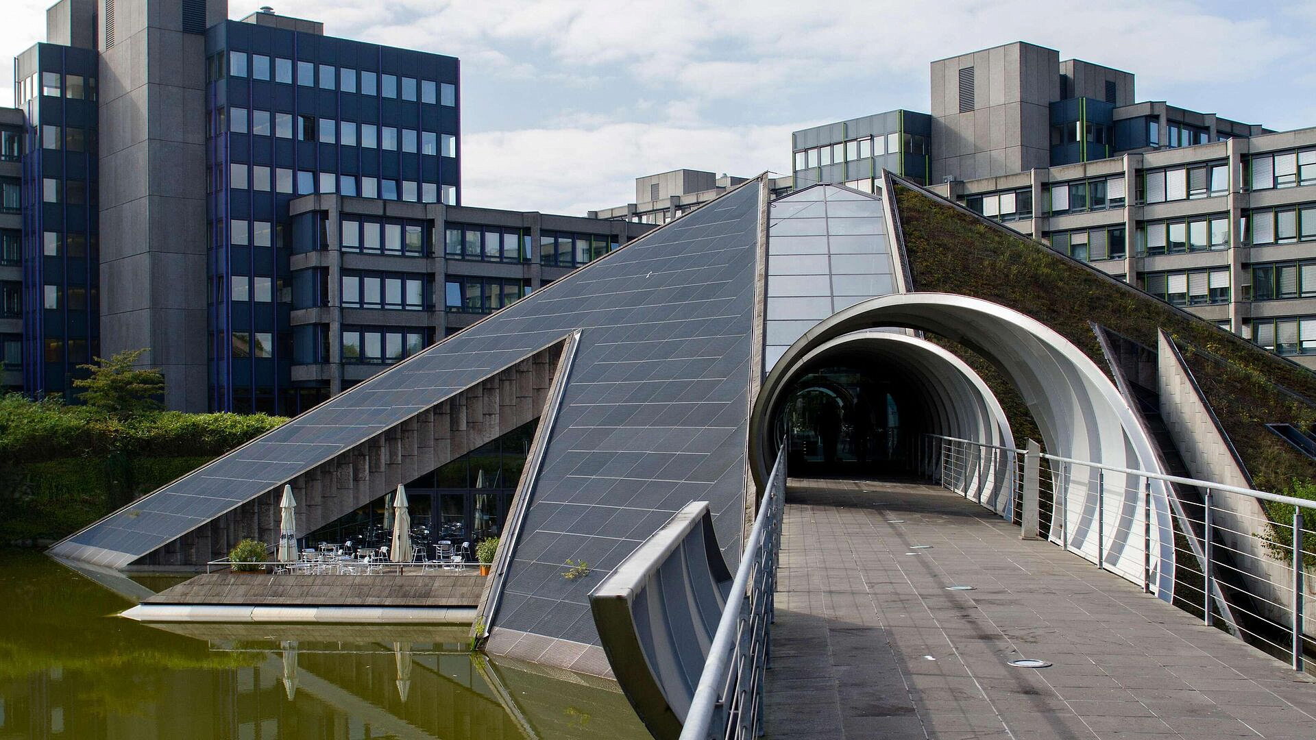 � ����-�������� ���������� �������� ����������� �������������