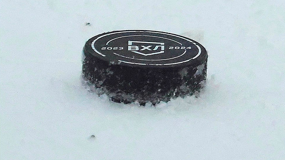 ФХР объявила сроки отстранения трех судей ВХЛ за аморальное поведение