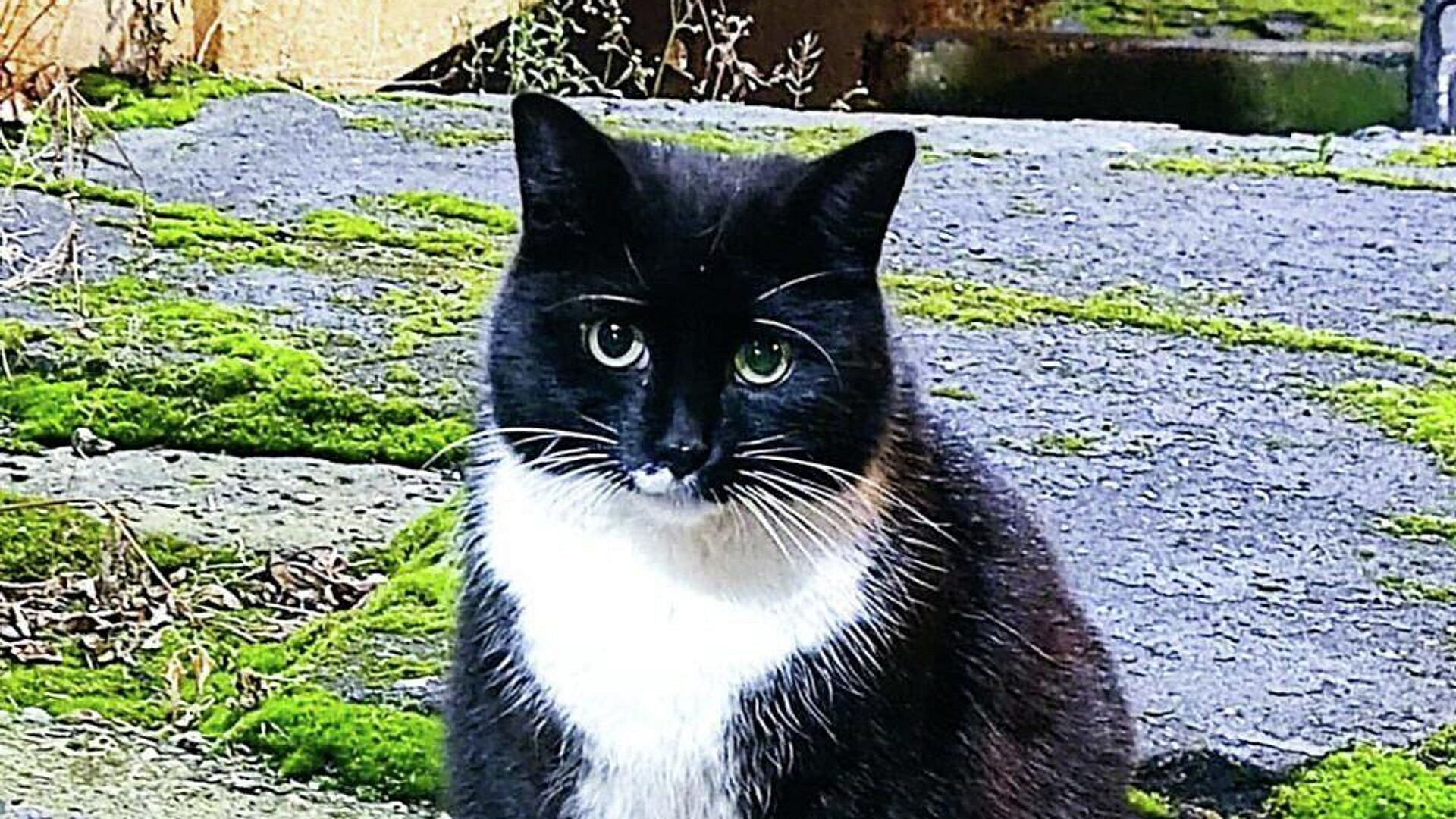 � ������ ������ ���� �����, ������������ ��� ������ ����