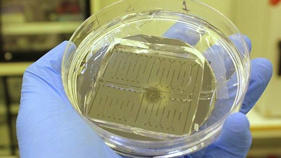 В Петербурге создали прибор для диагностики рака и быстрого старения