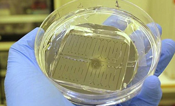 В Петербурге создали прибор для диагностики рака и быстрого старения