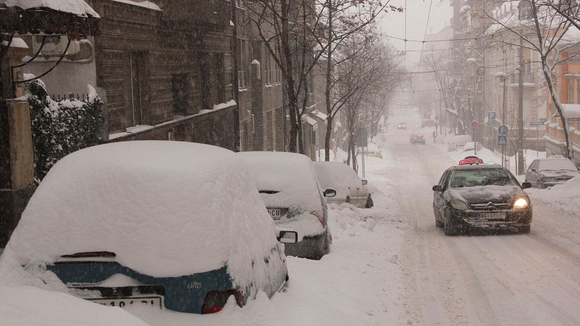 ���������-�������� �������� ����������� ����������������� ������� ������