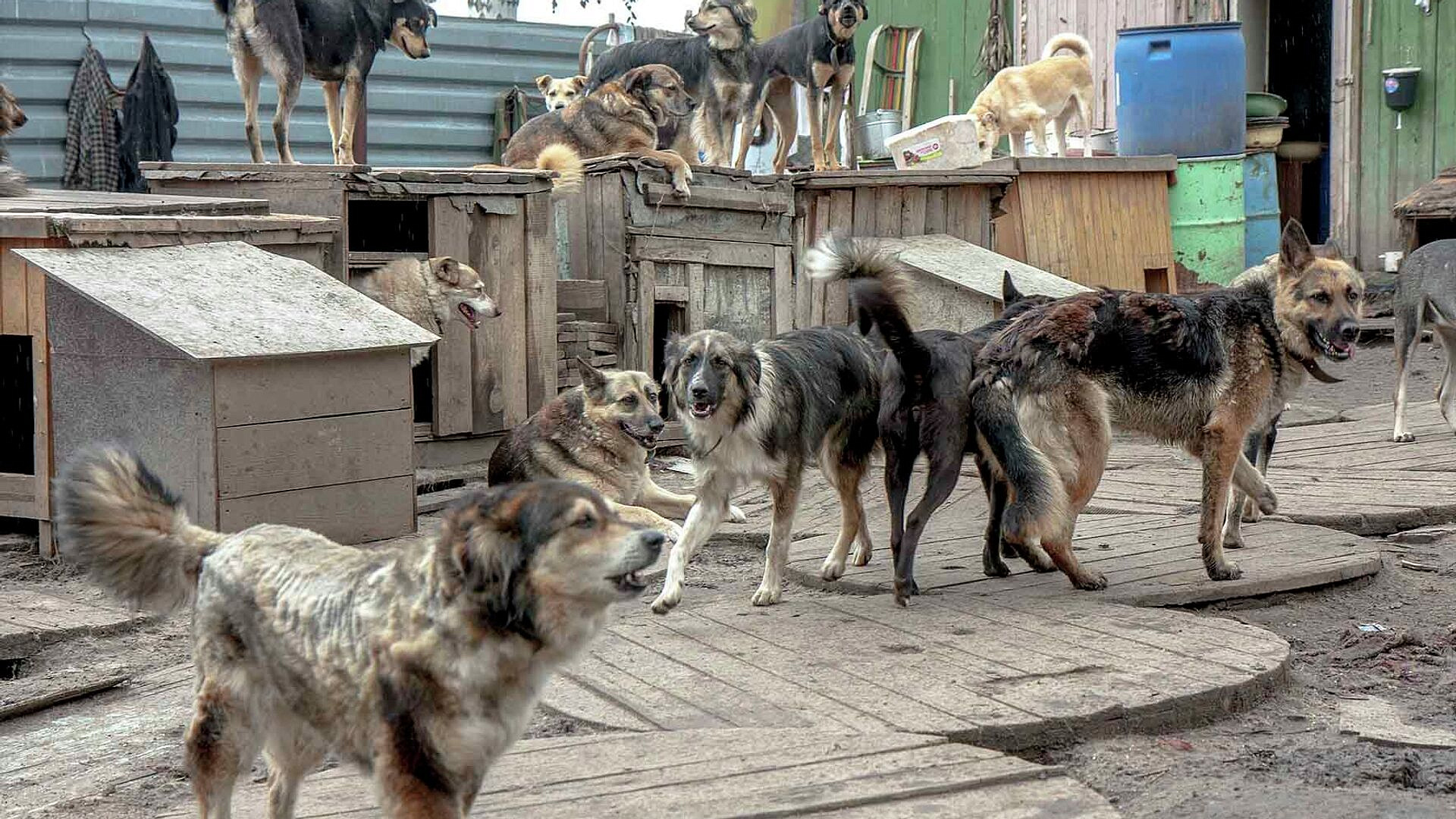 ������� ��������� ������� � ������ �������� ������ ��� ��������