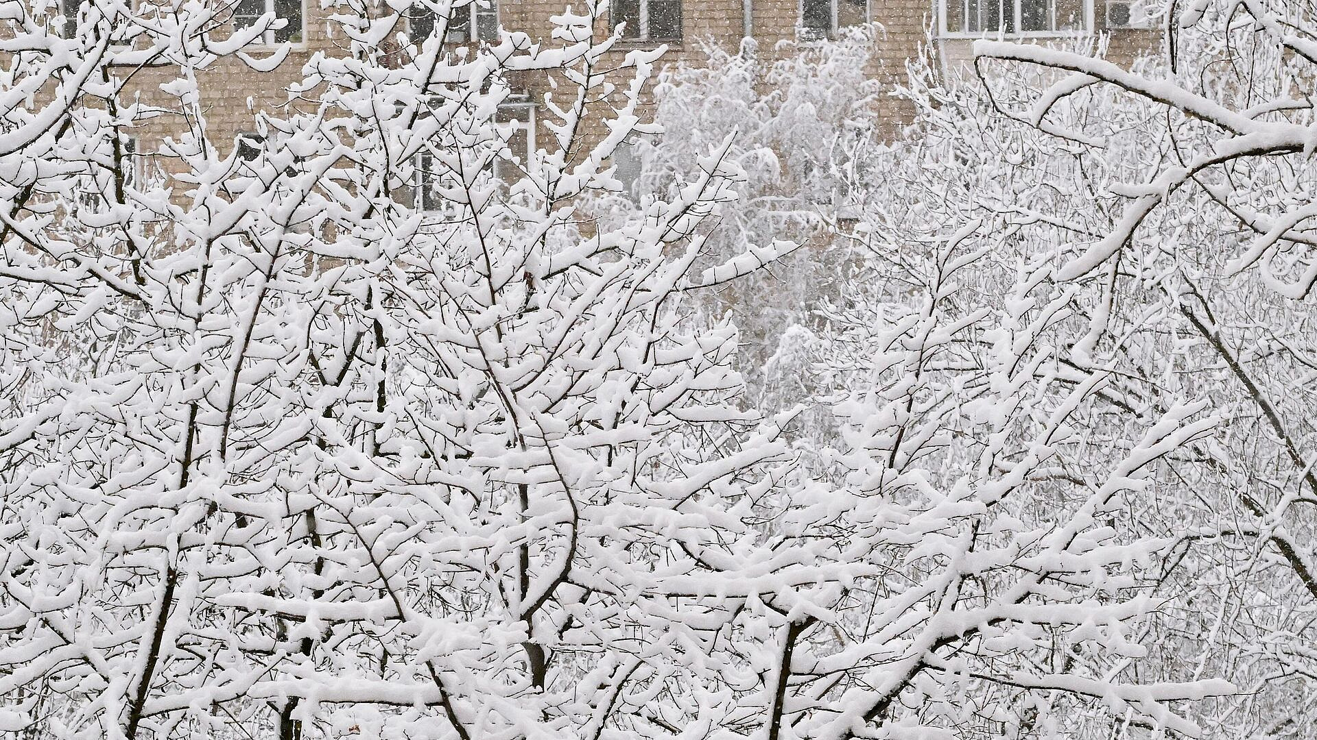 ��������������� ������� ������ �������� �� ��������� ������