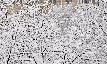 ��������������� ������� ������ �������� �� ��������� ������