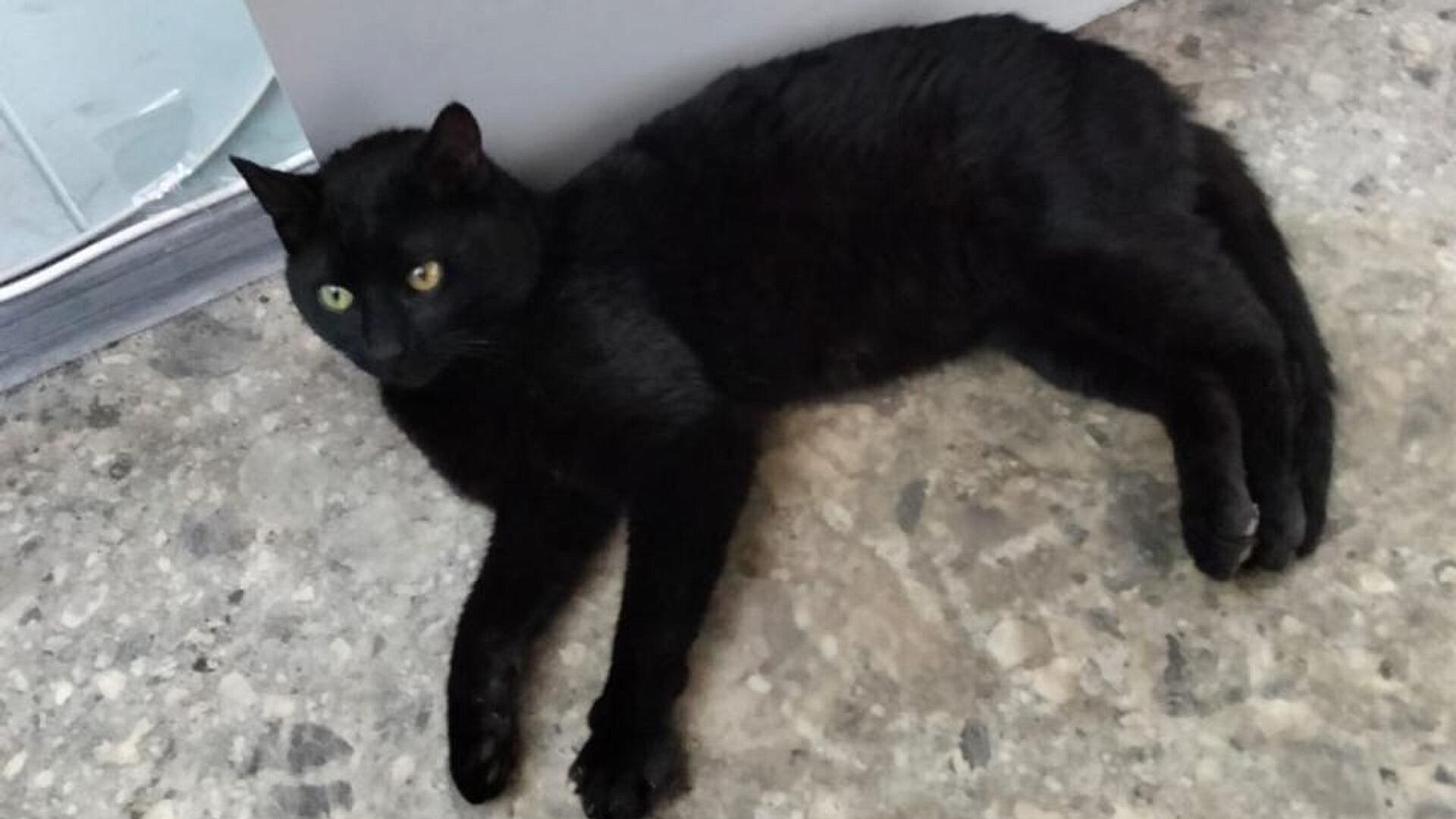 ��� �����, ����� ���������� �� ��������, ��������� � ������