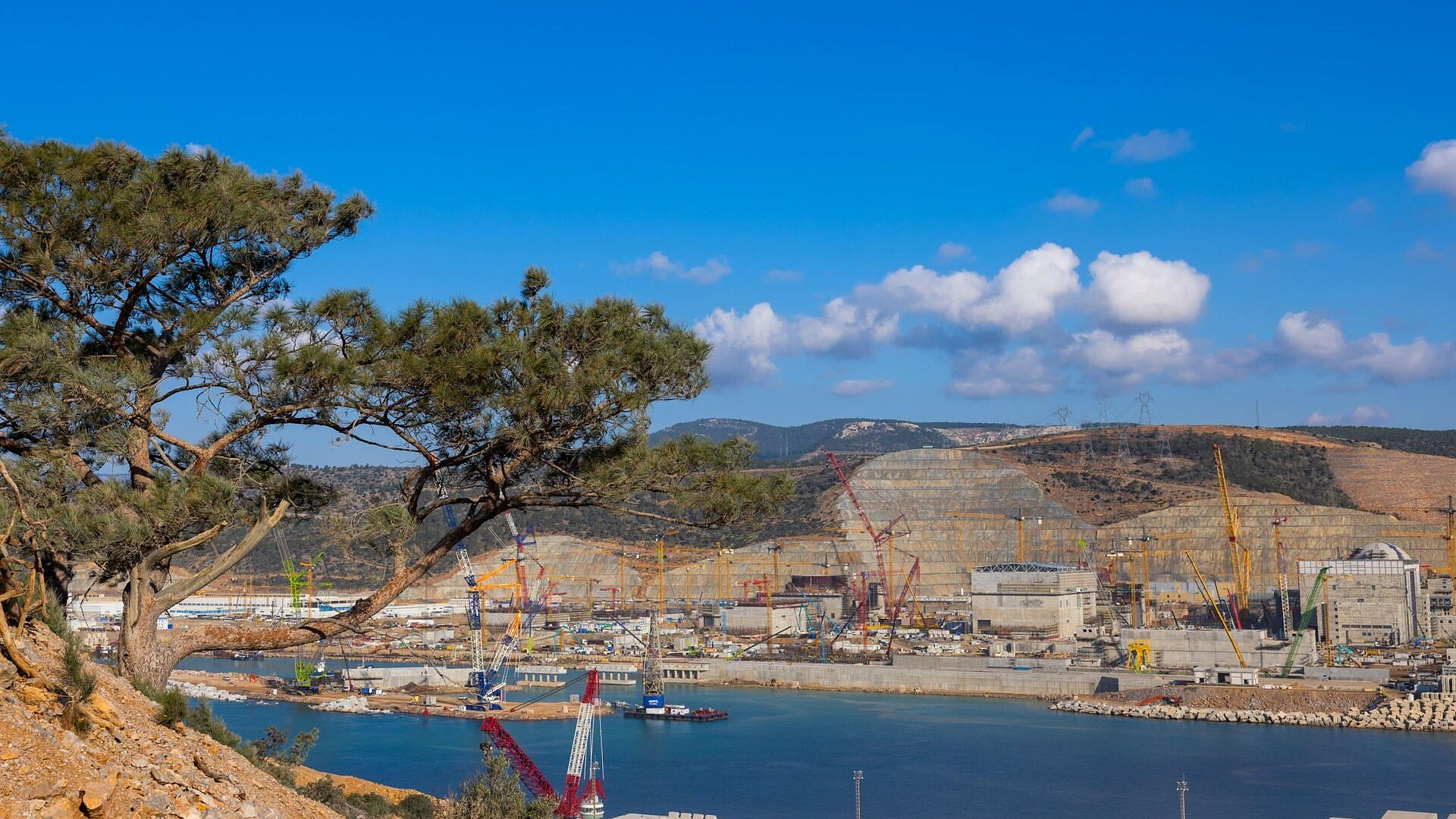 ������� ���������� ������ ��������� � ������������� ��� "�����"