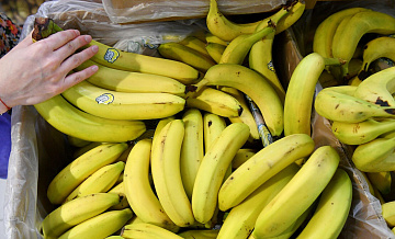 Эквадорские поставщики бананов не смогут заместить российский рынок