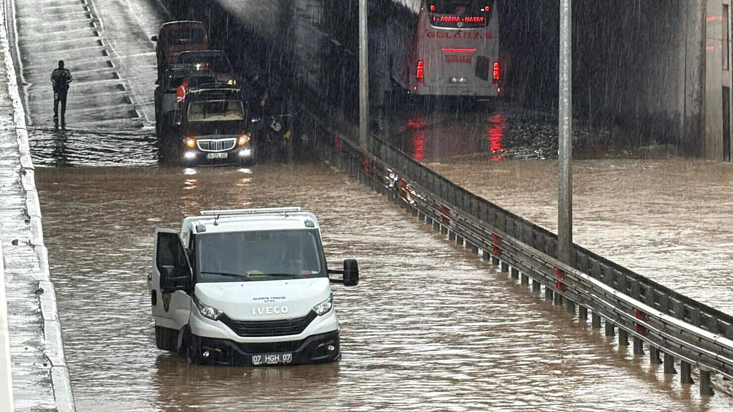 � ������ ����� ������� �����������, ������ ������� ������������