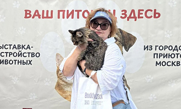 На ВДНХ открылась выставка-пристройство животных из приютов
