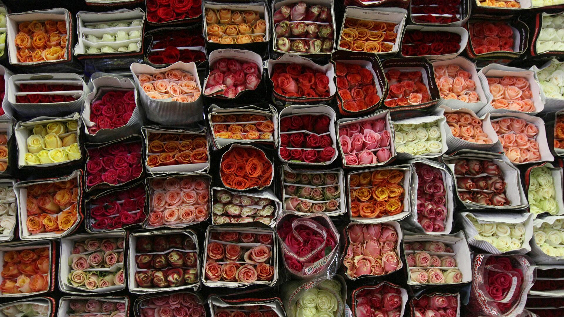 Роскачество предупредило о новой схеме мошенников перед 8 Марта