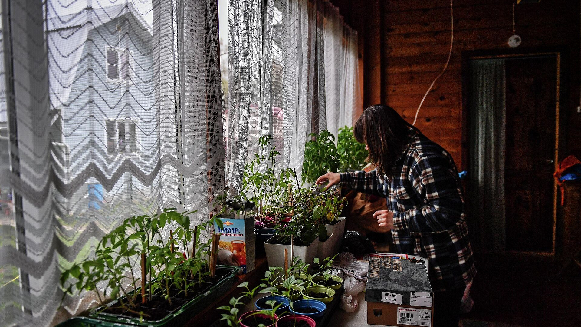 Дачников предупредили, как распознать фейковые растения на маркетплейсах