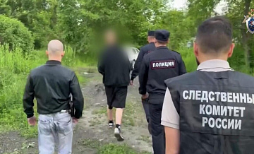 В СК раскрыли детали убийства девочки в Приморье