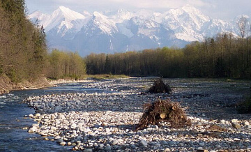 В Румынии спасли украинцев, заблудившихся в Карпатах при переходе границы