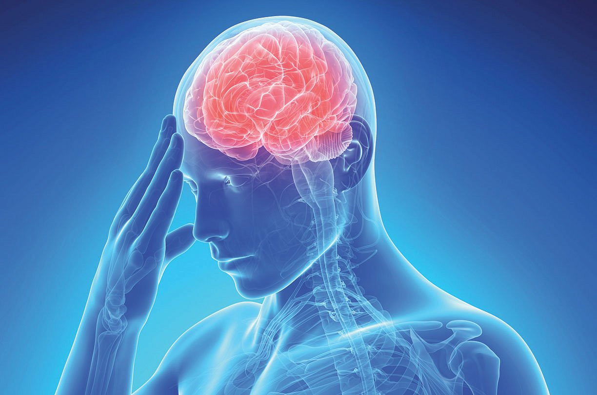 ������� ����������� �������� ��������