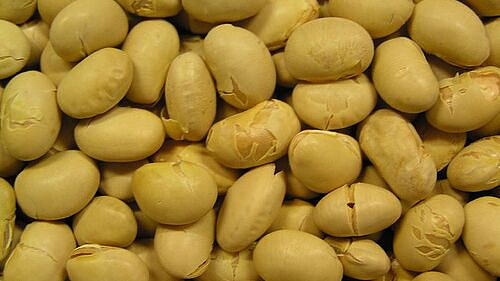 ����� ������������ �������� ��� ��� ���� ������������ ��������