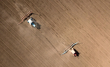 Патрушев рассказал о производстве сои в России