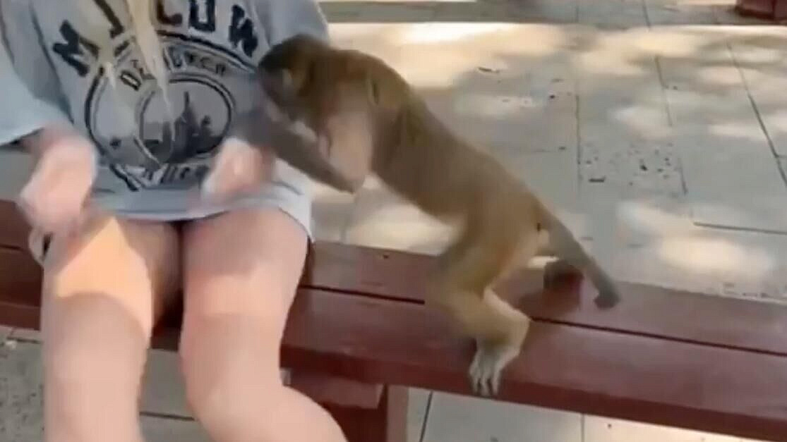 � ������ ������ �������, ������� � ����� �������� ��������