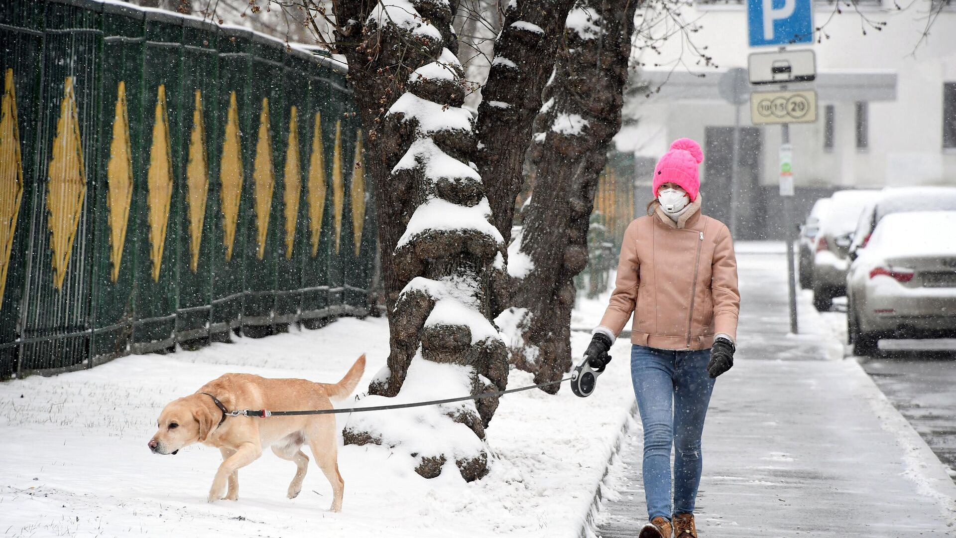 Кинолог рассказал, как понять, что собака страдает от одиночества