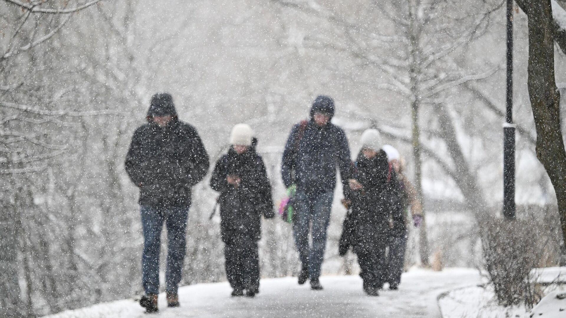 � ������ ��������� ��������� ��������� ������-�������� ���� ��-�� ���������