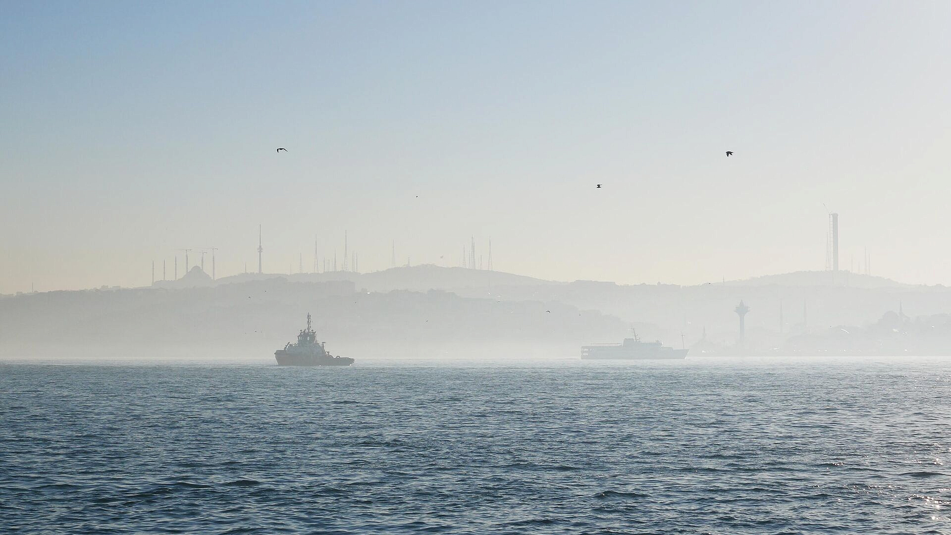 ���� ���������� ������ ���������� ������������ �� ������������� �������