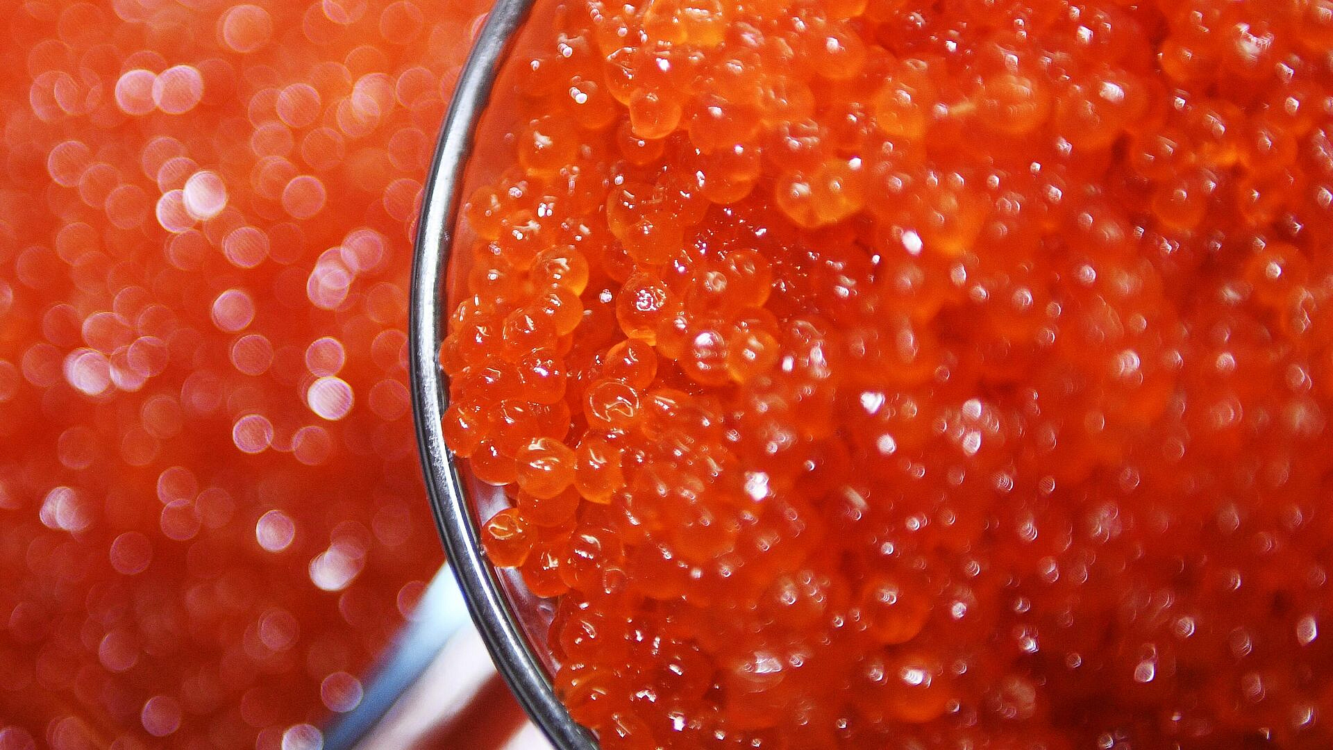 На Камчатке рассказали о стабилизации рынка красной икры