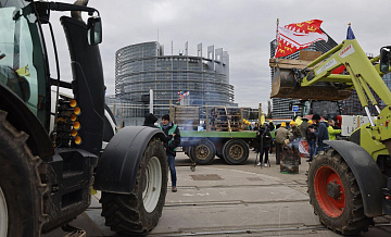 Подсчитан объем производства мяса и зерна в странах, где протестуют фермеры