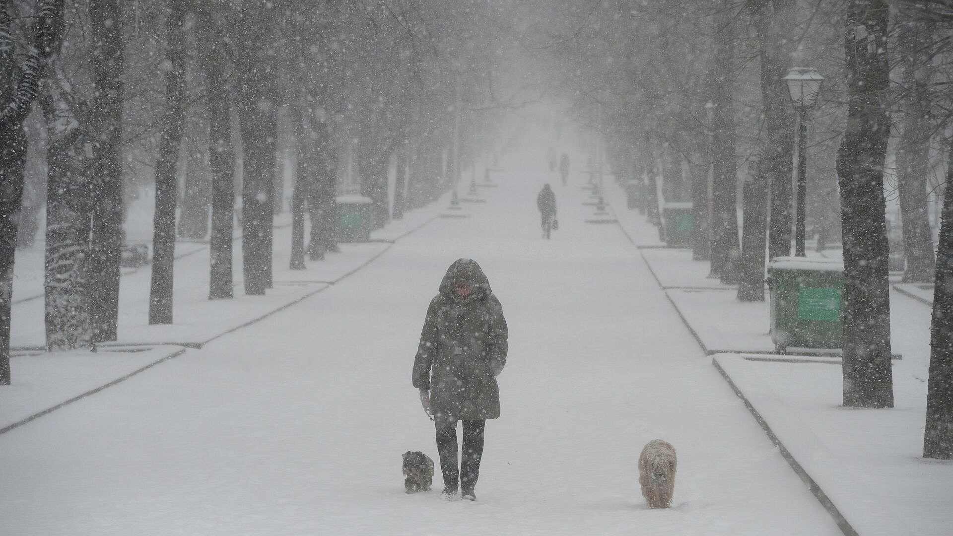 ��� ������������ � ������ � ���������� � �����������