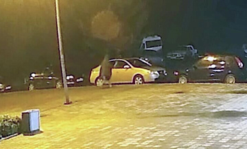 В Екатеринбурге ищут вандала с топором, повредившего шесть машин