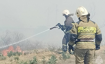 Фронт пожара в садовом товариществе под Астраханью увеличился