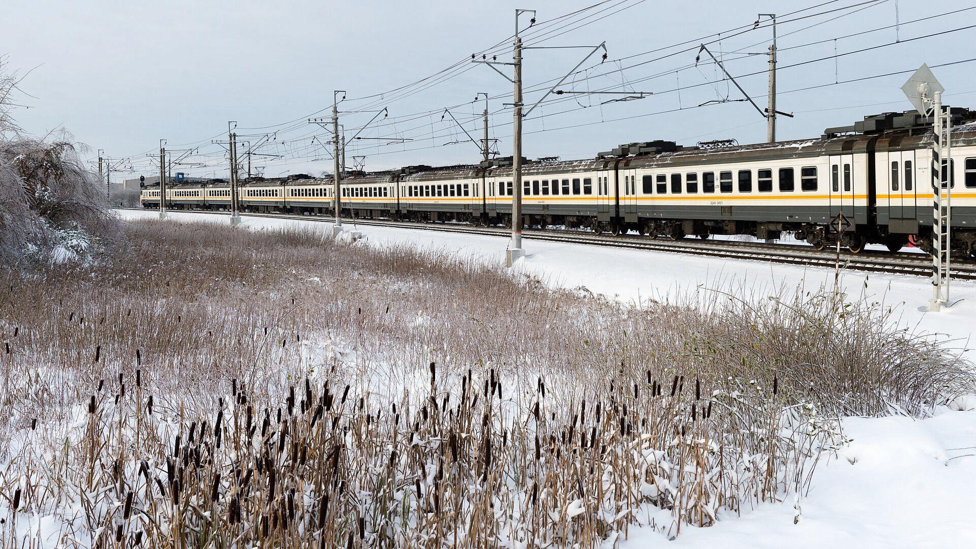 На двух направлениях МЖД электрички сбились с графика 