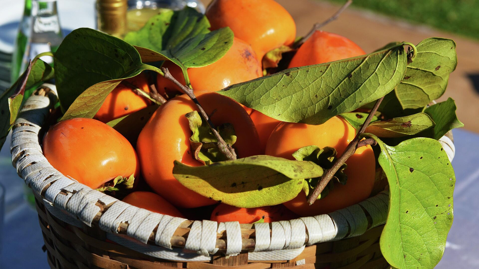 Роспотребнадзор рассказал, какие продукты нужно есть в феврале