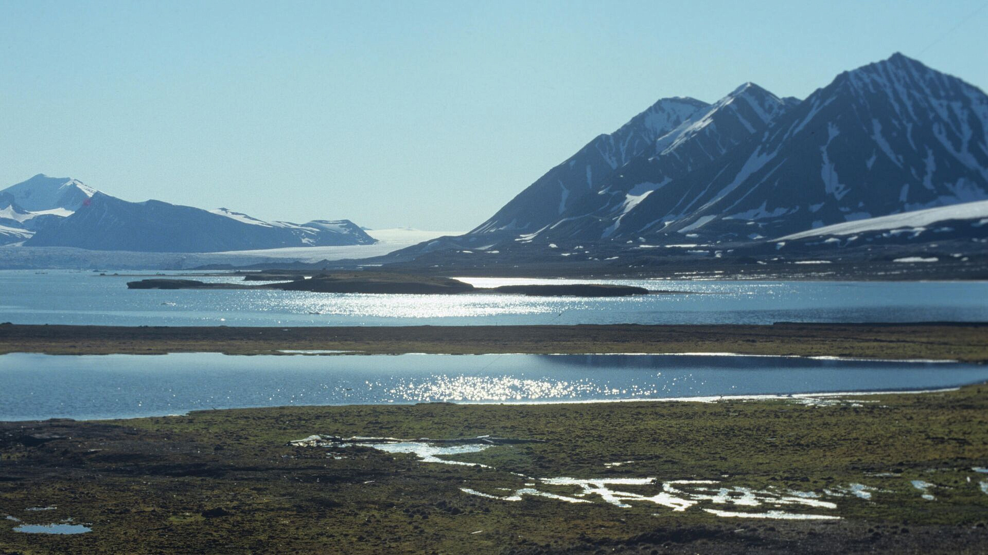 �����, ������ ���������� ���������� ��� ������, ���� �� ����, ����� FF