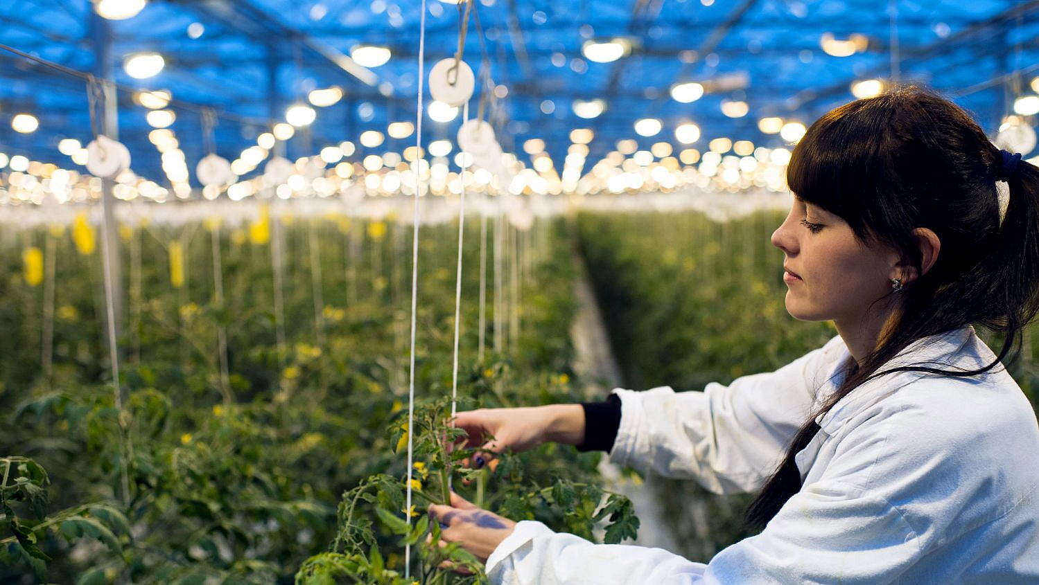 � ������ �������� ����������������� ���������� ������������ � ���