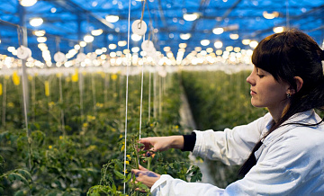 В России увеличат госфинансирование подготовки специалистов в АПК