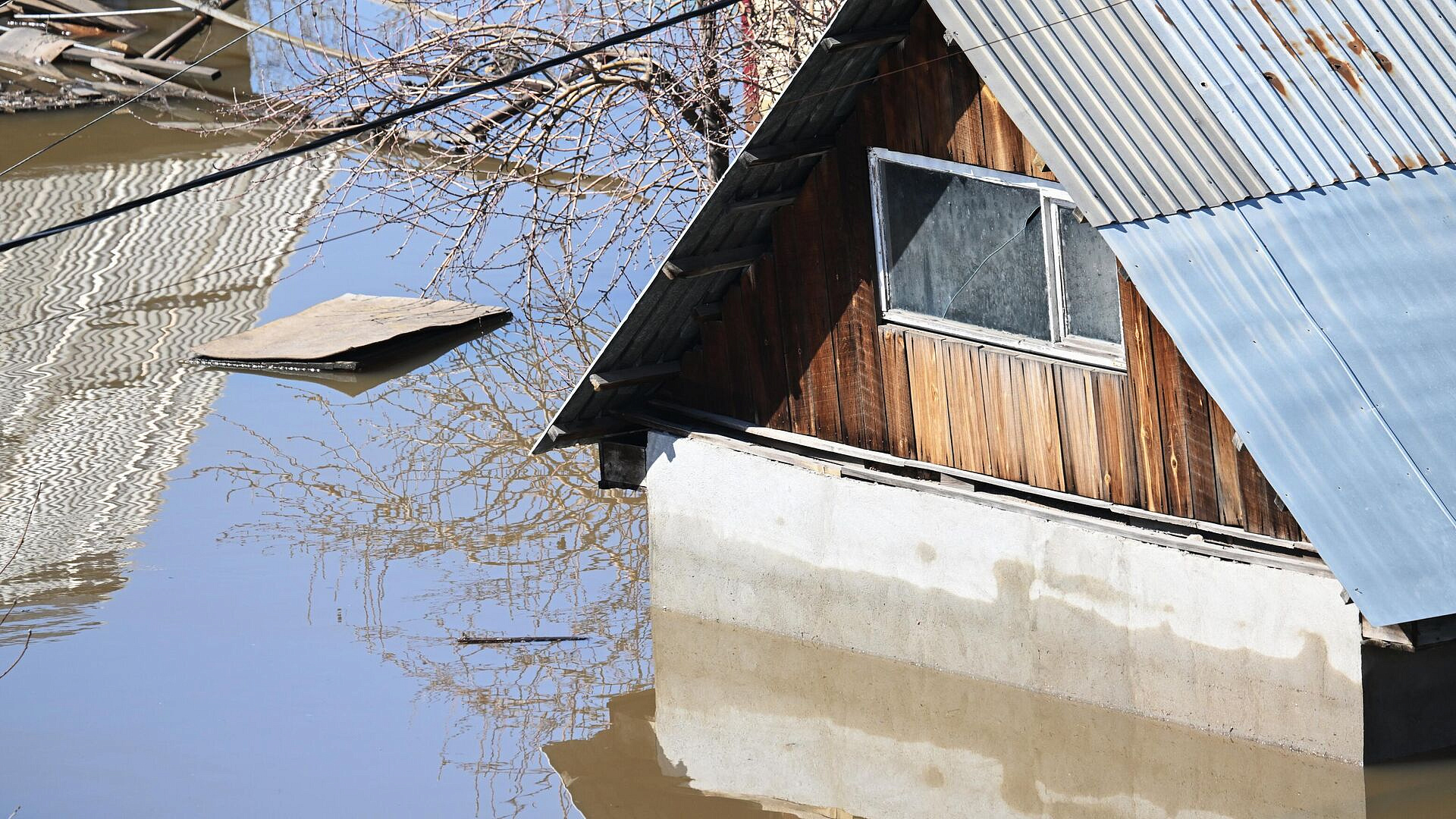 ������ ������� �� ����������� ������ ������������ �� �������� � ����������