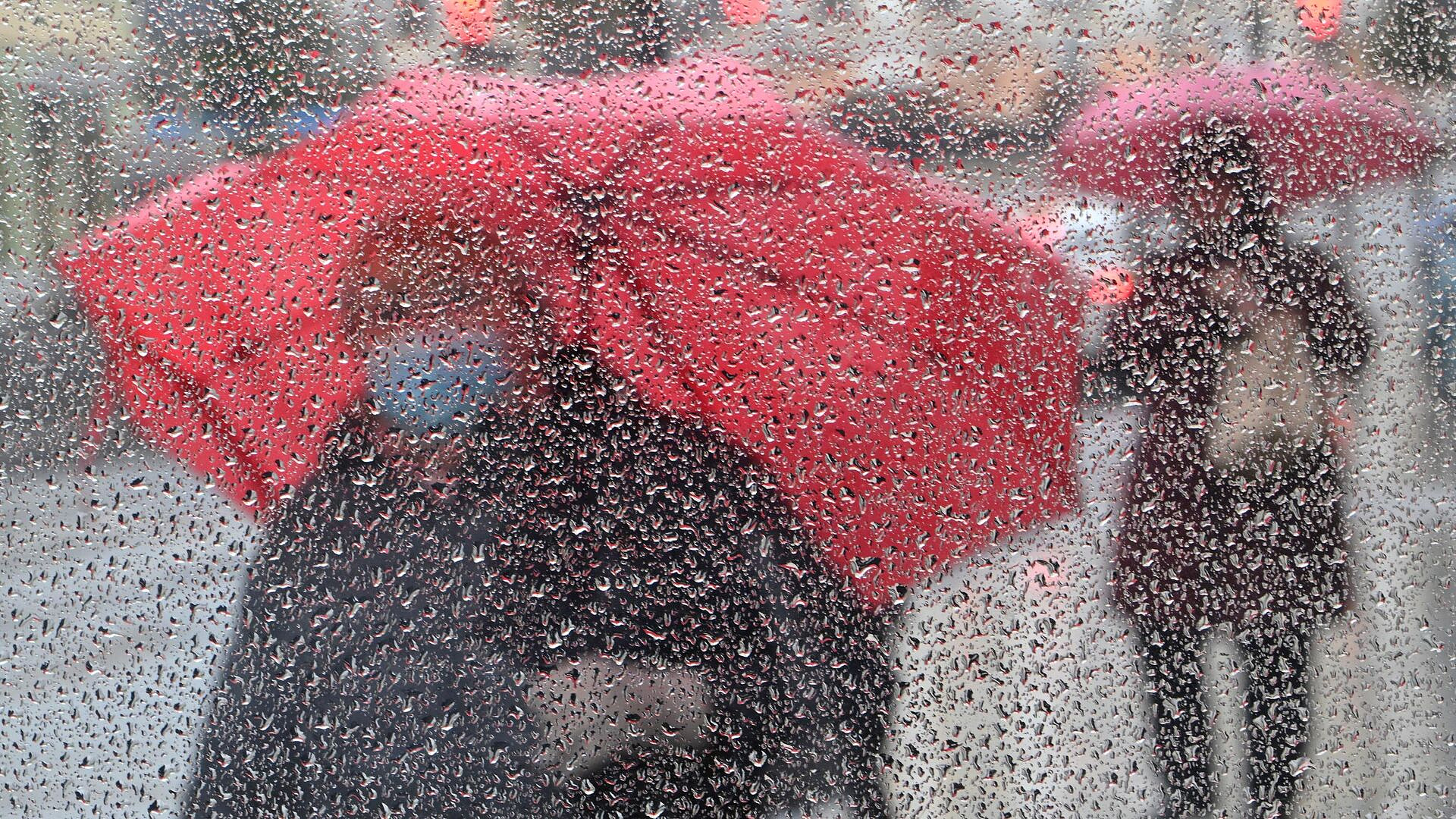 � ������ �� ����� ������ �� 20% �������� ����� �������