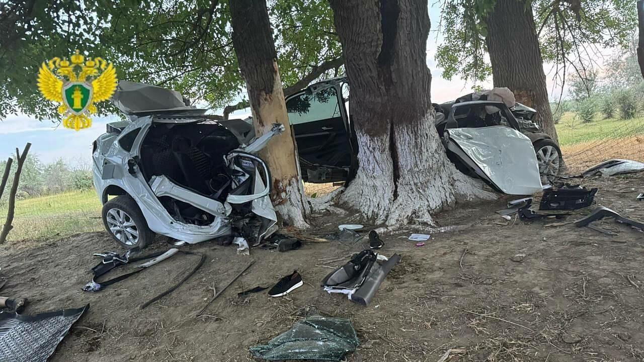 За рулем автомобиля, врезавшегося в дерево в Дагестане, находился подросток