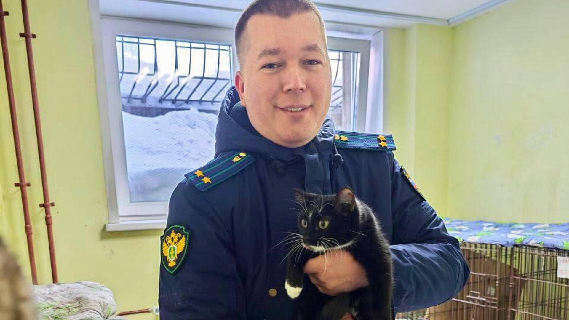 В Перми спасли кошку, брошенную в завязанном пакете в электричке