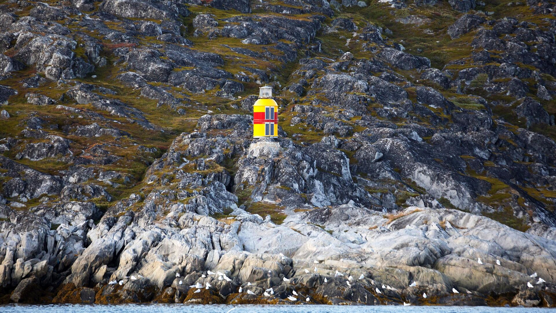 ������� ������ ����������� �������� ����������� ����� � ����������