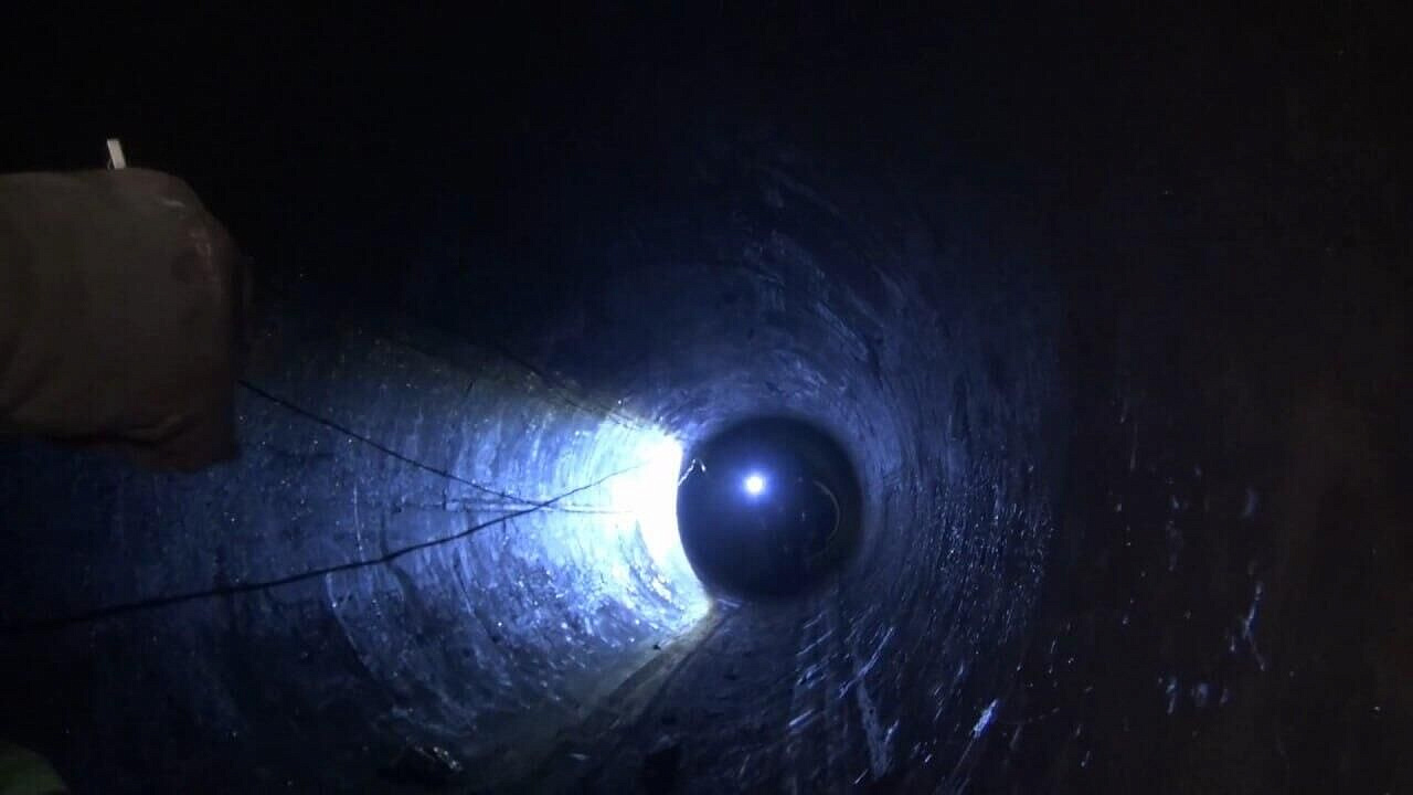 ������� ��������� ������ �� ����� � ������� �� ����� �������� "�����"