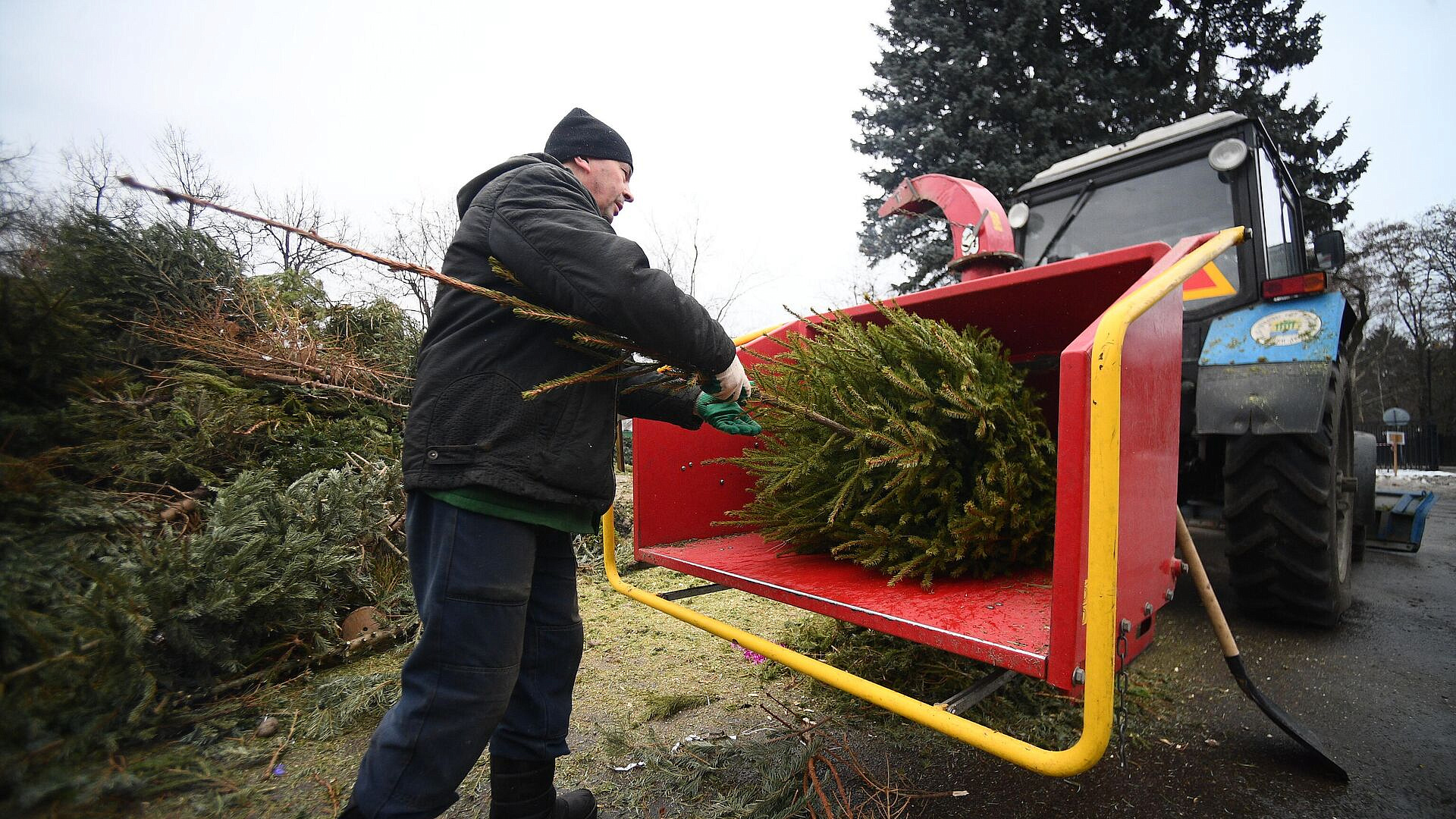 � ������ �������� ���-��� � �������� ������� ������ ����