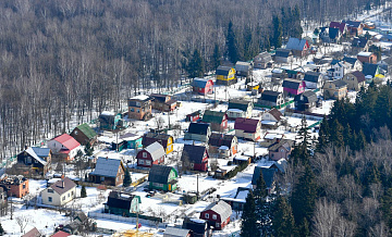 Дачникам разъяснили, кого накажут за опасные растения с 1 марта